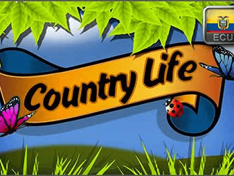 Country Life game thumbnail